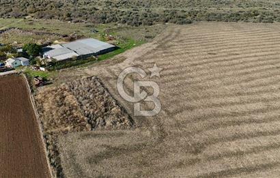 ÇANAKKALE EZİNE MAHMUDİYEDE MÜKEMMEL KONUMDA 432 m² İMARLI ARSA