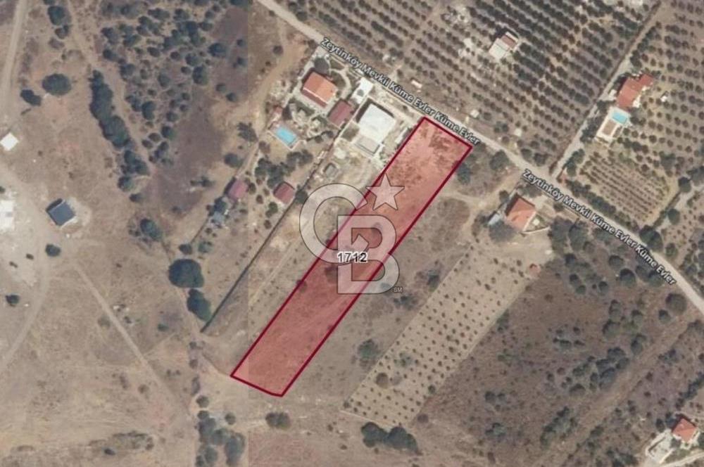 YENİBAĞARASI’NDA YAPI RUHSATLI DOĞAYLA İÇ İÇE SATILIK HARİKA ARSA