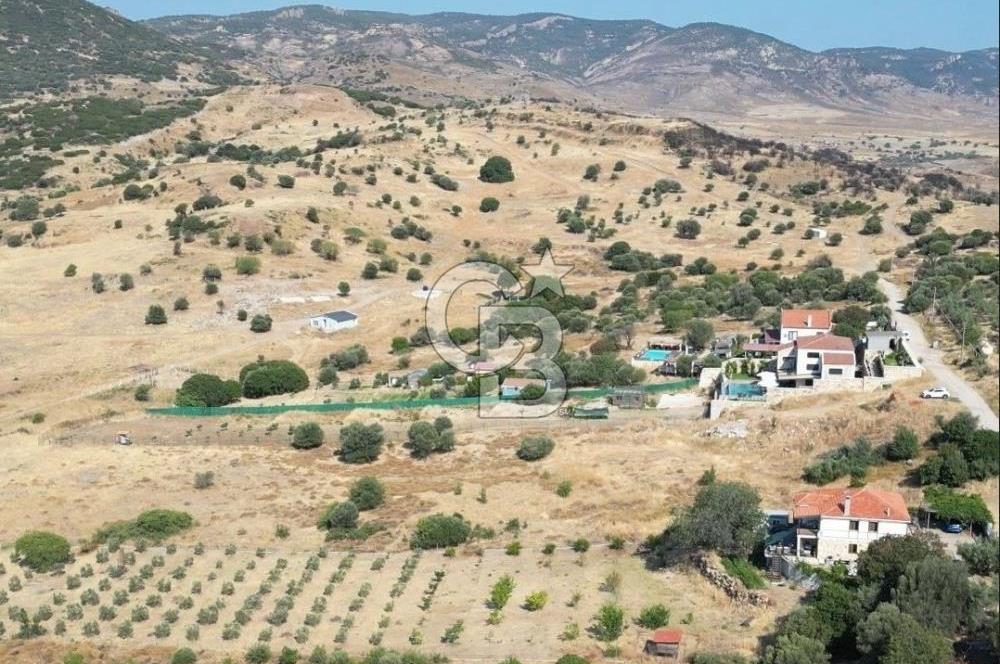 YENİBAĞARASI’NDA YAPI RUHSATLI DOĞAYLA İÇ İÇE SATILIK HARİKA ARSA