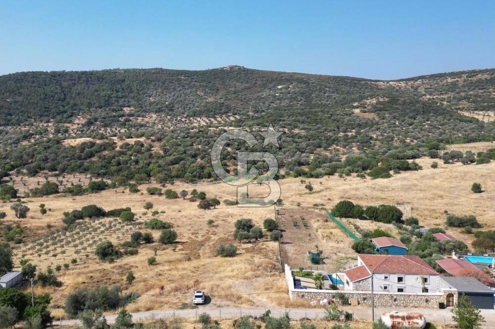YENİBAĞARASI’NDA YAPI RUHSATLI DOĞAYLA İÇ İÇE SATILIK HARİKA ARSA