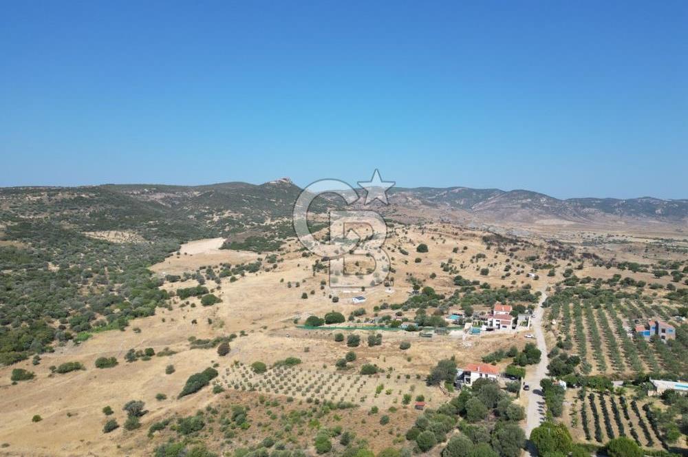 YENİBAĞARASI’NDA YAPI RUHSATLI DOĞAYLA İÇ İÇE SATILIK HARİKA ARSA