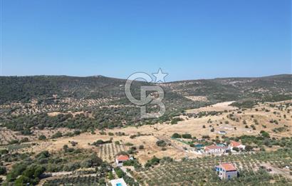 YENİBAĞARASI’NDA YAPI RUHSATLI DOĞAYLA İÇ İÇE SATILIK HARİKA ARSA
