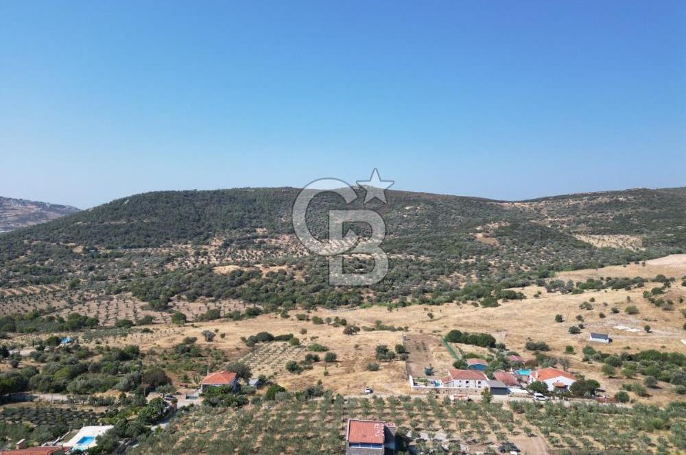 YENİBAĞARASI’NDA YAPI RUHSATLI DOĞAYLA İÇ İÇE SATILIK HARİKA ARSA