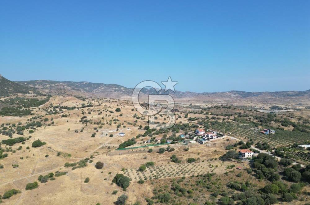YENİBAĞARASI’NDA YAPI RUHSATLI DOĞAYLA İÇ İÇE SATILIK HARİKA ARSA