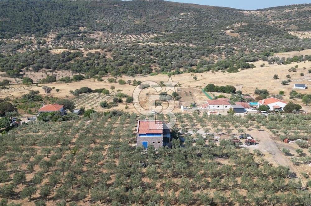 YENİBAĞARASI’NDA YAPI RUHSATLI DOĞAYLA İÇ İÇE SATILIK HARİKA ARSA