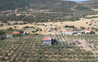 YENİBAĞARASI’NDA YAPI RUHSATLI DOĞAYLA İÇ İÇE SATILIK HARİKA ARSA