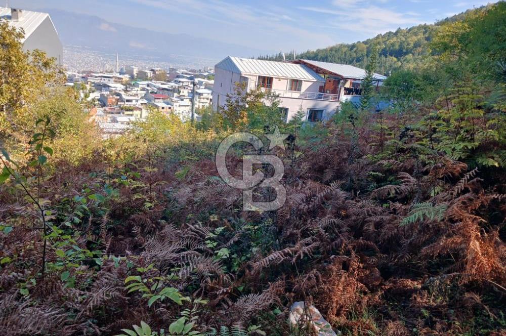 CB EVEREST'TEN AKÇAĞLAYAN'DA YATIRIMLIK FIRSAT ARSA