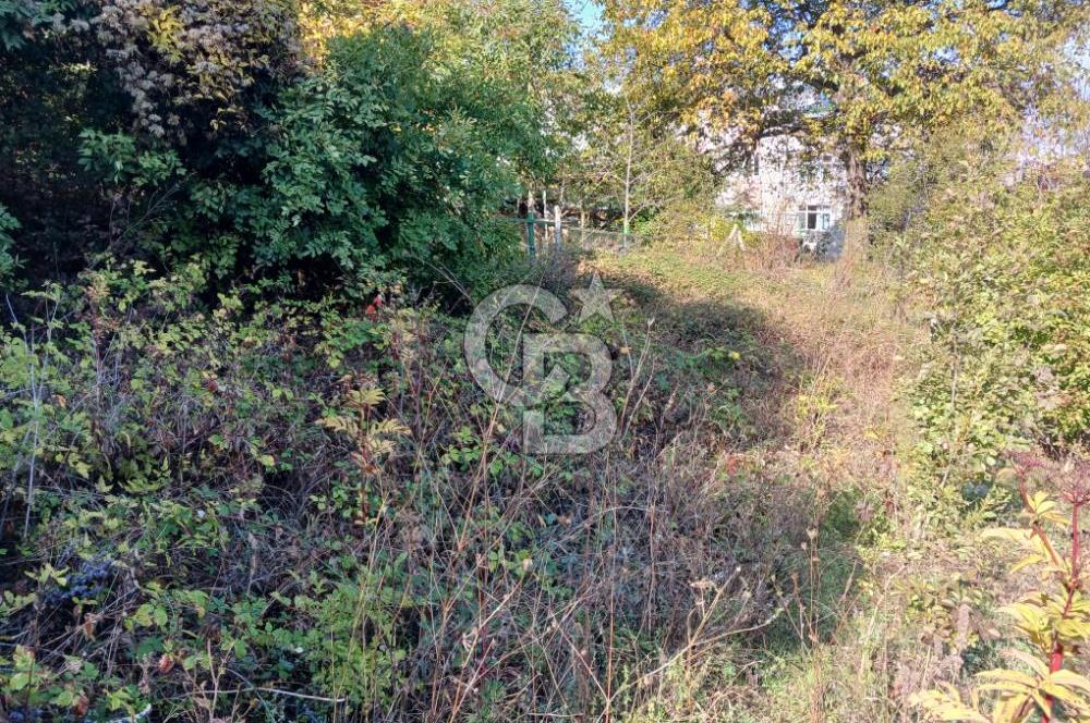 CB EVEREST'DEN AKÇAĞLAYAN'DA YATIRIMLIK ARSA