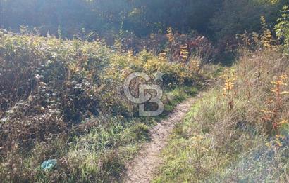 CB EVEREST'DEN AKÇAĞLAYAN'DA YATIRIMLIK ARSA