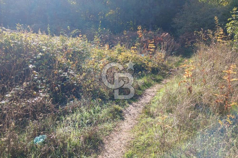 CB EVEREST'TEN AKÇAĞLAYAN'DA YATIRIMLIK FIRSAT ARSA