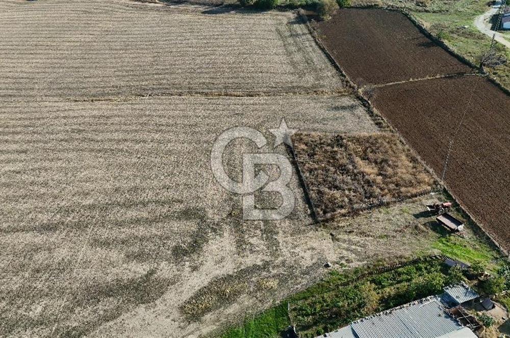 ÇANAKKALE EZİNE MAHMUDİYEDE MÜKEMMEL KONUMDA 432 m² İMARLI ARSA