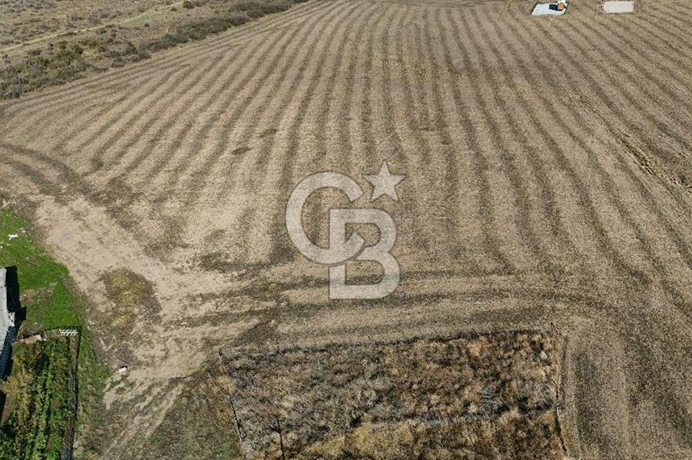 ÇANAKKALE EZİNE MAHMUDİYEDE MÜKEMMEL KONUMDA 432 m² İMARLI ARSA