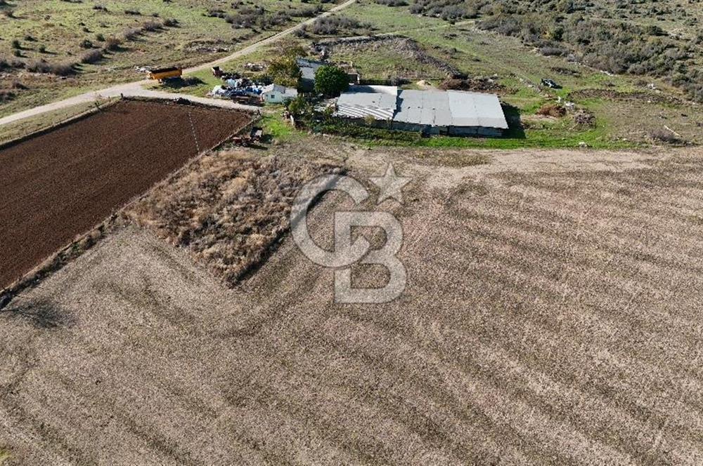 ÇANAKKALE EZİNE MAHMUDİYEDE MÜKEMMEL KONUMDA 432 m² İMARLI ARSA