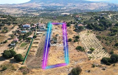 YENİBAĞARASI’NDA YAPI RUHSATLI DOĞAYLA İÇ İÇE SATILIK HARİKA ARSA