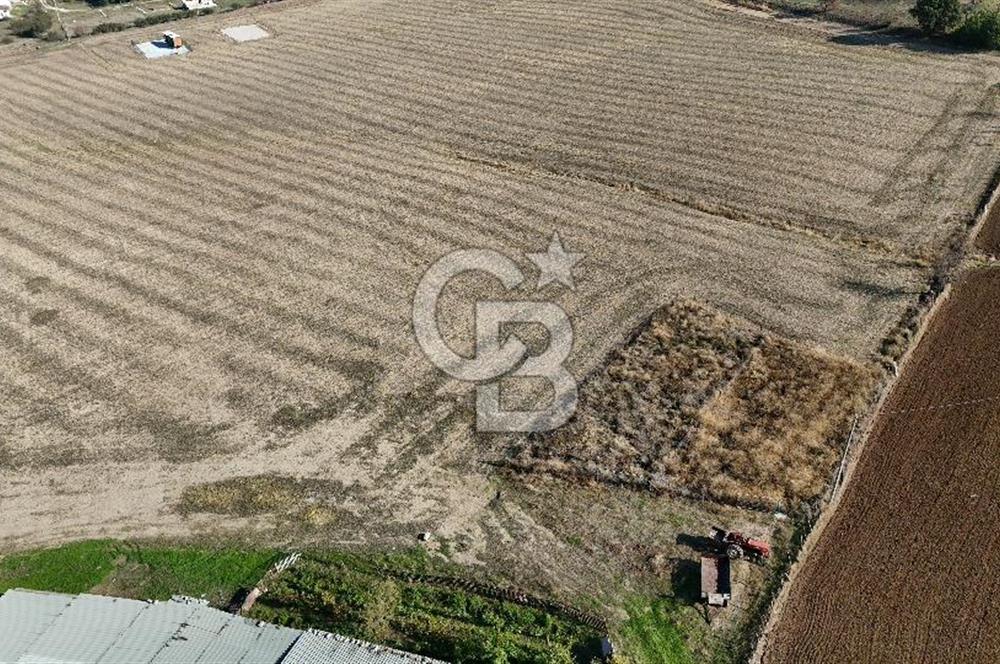 ÇANAKKALE EZİNE MAHMUDİYEDE MÜKEMMEL KONUMDA 432 m² İMARLI ARSA