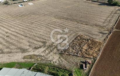 ÇANAKKALE EZİNE MAHMUDİYEDE MÜKEMMEL KONUMDA 432 m² İMARLI ARSA