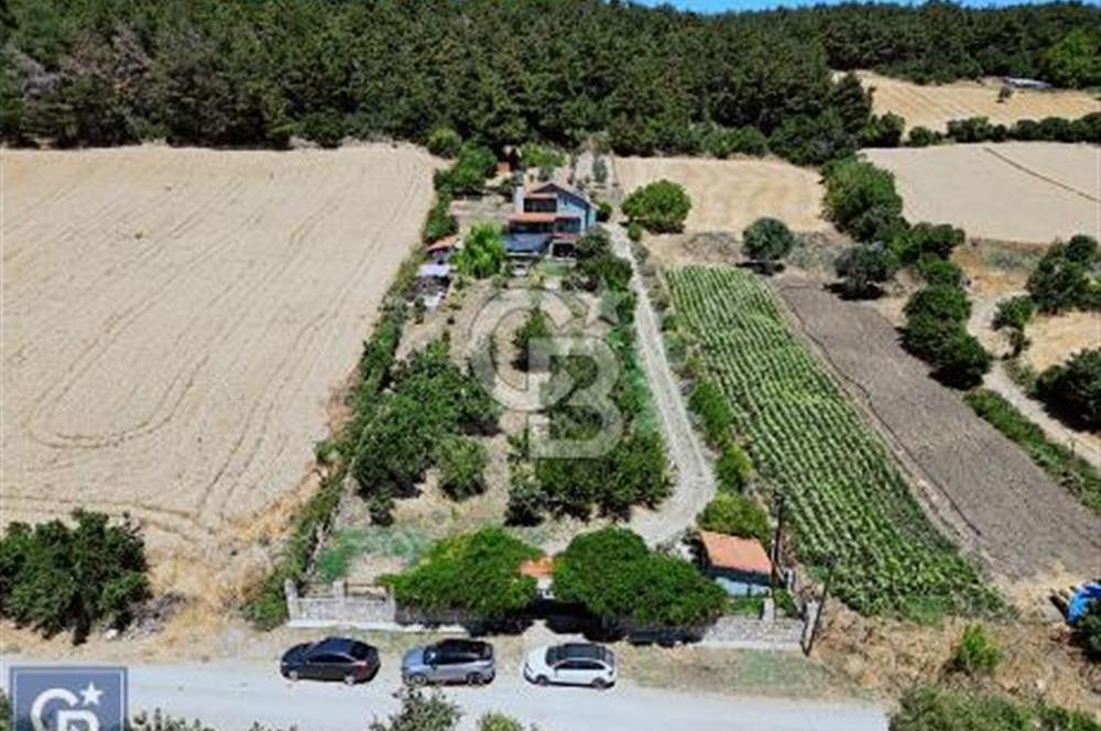 ÇANAKKALE, LAPSEKİ, GÖKKÖY'DE SATILIK ÇİFTLİK EVİ VE ARAZİSİ