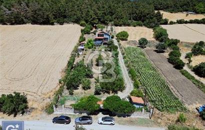 ÇANAKKALE, LAPSEKİ, GÖKKÖY'DE SATILIK ÇİFTLİK EVİ VE ARAZİSİ