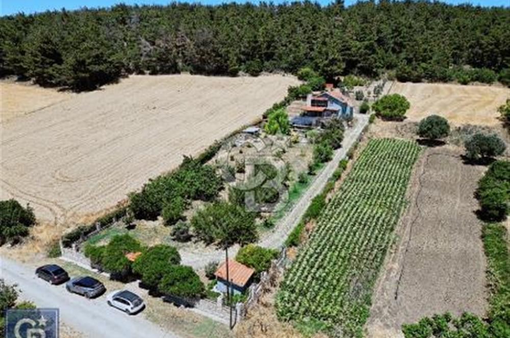 ÇANAKKALE, LAPSEKİ, GÖKKÖY'DE SATILIK ÇİFTLİK EVİ VE ARAZİSİ