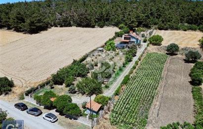 ÇANAKKALE, LAPSEKİ, GÖKKÖY'DE SATILIK ÇİFTLİK EVİ VE ARAZİSİ