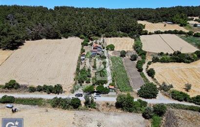 ÇANAKKALE, LAPSEKİ, GÖKKÖY'DE SATILIK ÇİFTLİK EVİ VE ARAZİSİ