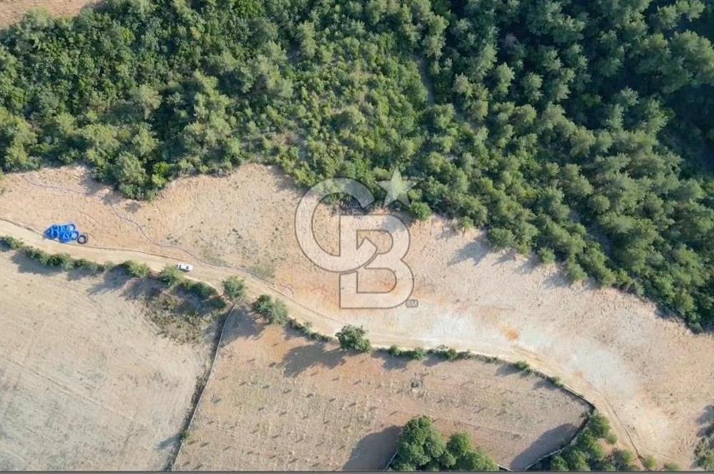 ÇANAKKALE ELMACIK'TA 518 M² SATILIK KOOPERATİF HİSSESİ