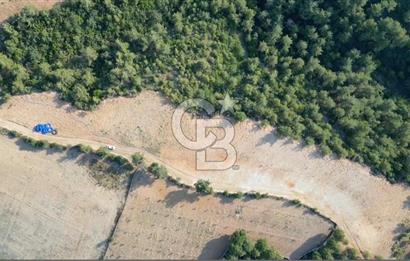 ÇANAKKALE ELMACIK'TA 518 M² SATILIK KOOPERATİF HİSSESİ