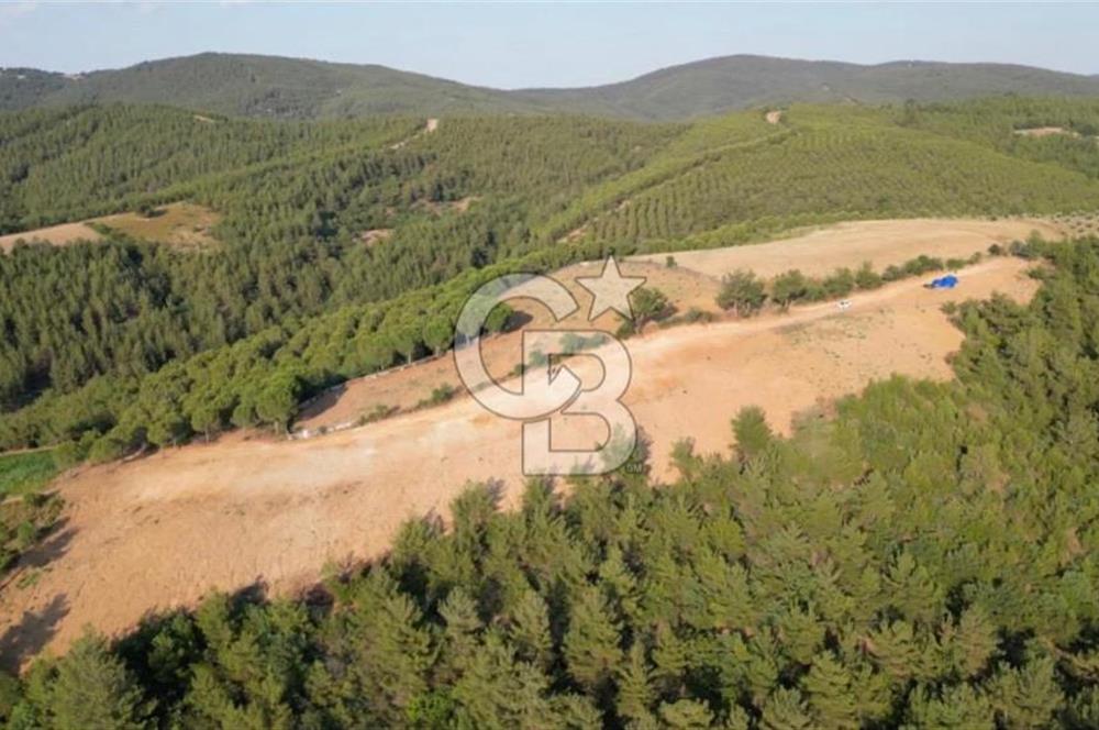 ÇANAKKALE ELMACIK'TA 518 M² SATILIK KOOPERATİF HİSSESİ