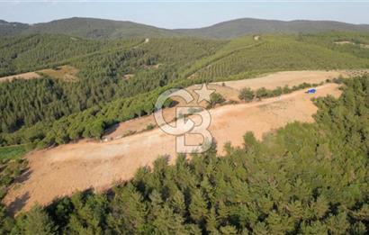 ÇANAKKALE ELMACIK'TA 518 M² SATILIK KOOPERATİF HİSSESİ