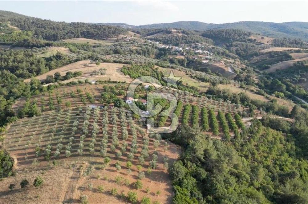 ÇANAKKALE ELMACIK'TA 518 M² SATILIK KOOPERATİF HİSSESİ