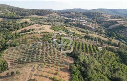 ÇANAKKALE ELMACIK'TA 518 M² SATILIK KOOPERATİF HİSSESİ