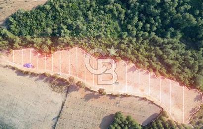 ÇANAKKALE ELMACIK'TA 518 M² SATILIK KOOPERATİF HİSSESİ