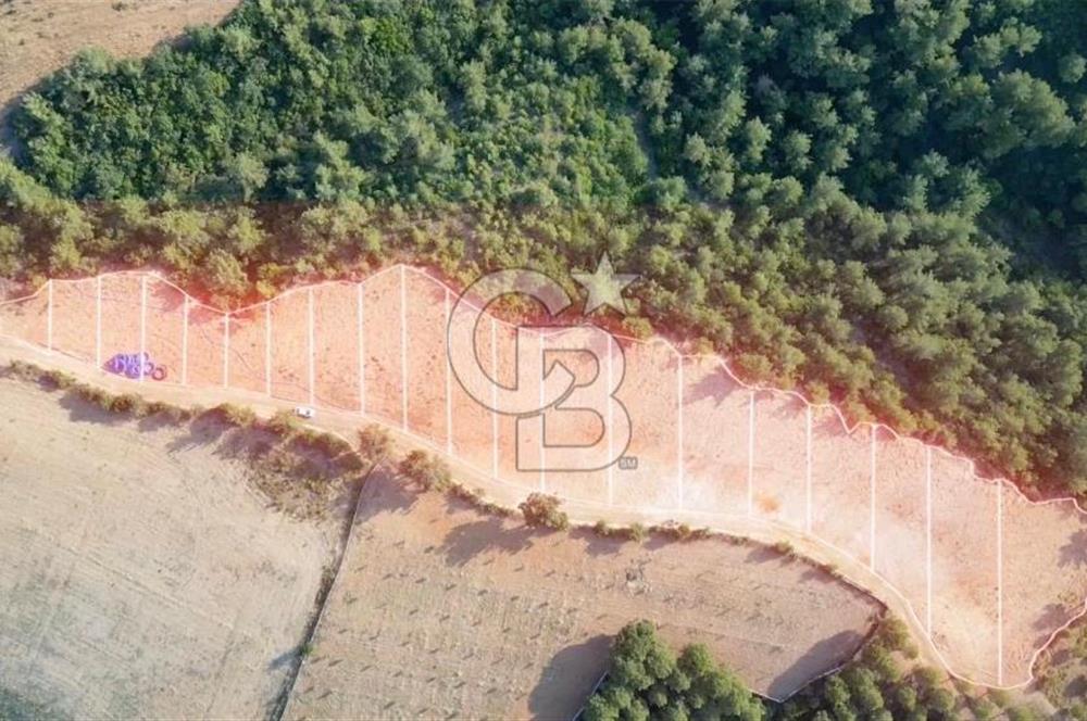 ÇANAKKALE ELMACIK'TA 518 M² SATILIK KOOPERATİF HİSSESİ