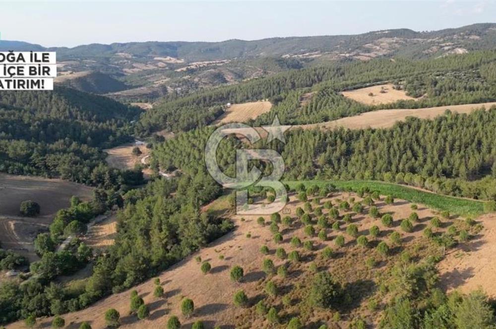 ÇANAKKALE ELMACIK'TA 518 M² SATILIK KOOPERATİF HİSSESİ