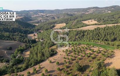 ÇANAKKALE ELMACIK'TA 518 M² SATILIK KOOPERATİF HİSSESİ