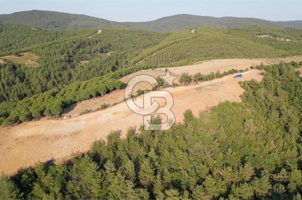 ÇANAKKALE ELMACIK'TA 518 M² SATILIK KOOPERATİF HİSSESİ