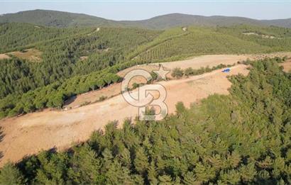 ÇANAKKALE ELMACIK'TA 518 M² SATILIK KOOPERATİF HİSSESİ