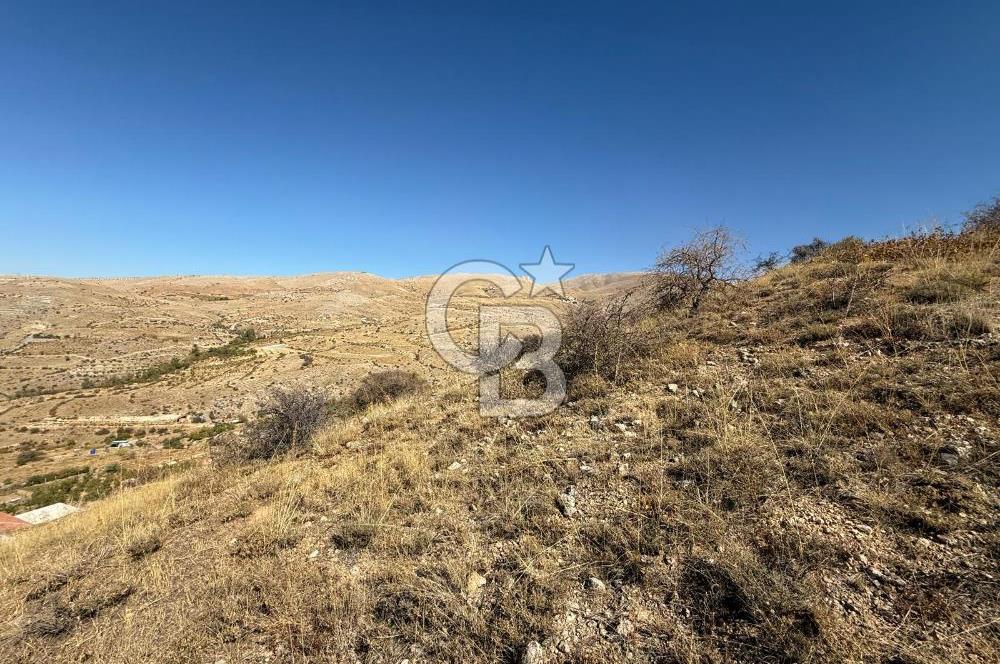 COLDWELL BNAKER SAFİR'den KONAK da 6525 m² SATILIK BAĞ