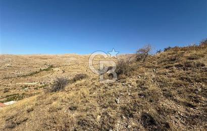 COLDWELL BNAKER SAFİR'den KONAK da 6525 m² SATILIK BAĞ