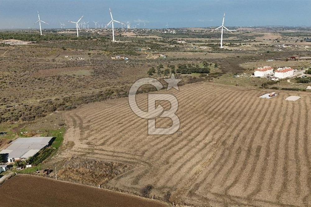 ÇANAKKALE EZİNE MAHMUDİYEDE MÜKEMMEL KONUMDA 432 m² İMARLI ARSA