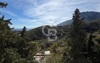 Karaburun Merkez'de Satılık Dükkan