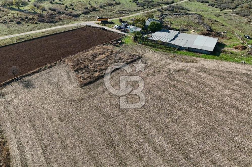 ÇANAKKALE EZİNE MAHMUDİYEDE MÜKEMMEL KONUMDA 432 m² İMARLI ARSA