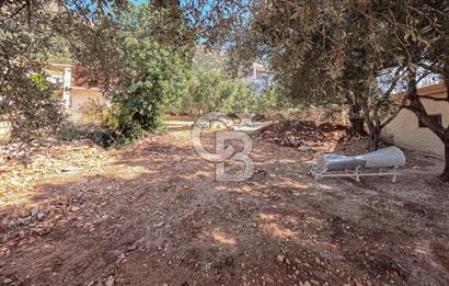 CB ARDENDEN ANTALYA KAŞ BEZİRGANDA 767 M2 SATILIK TARLA