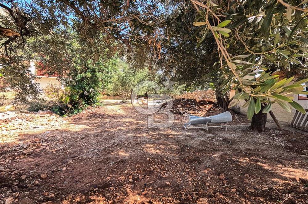 CB ARDENDEN ANTALYA KAŞ BEZİRGANDA 767 M2 SATILIK TARLA