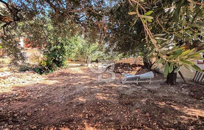CB ARDENDEN ANTALYA KAŞ BEZİRGANDA 767 M2 SATILIK TARLA