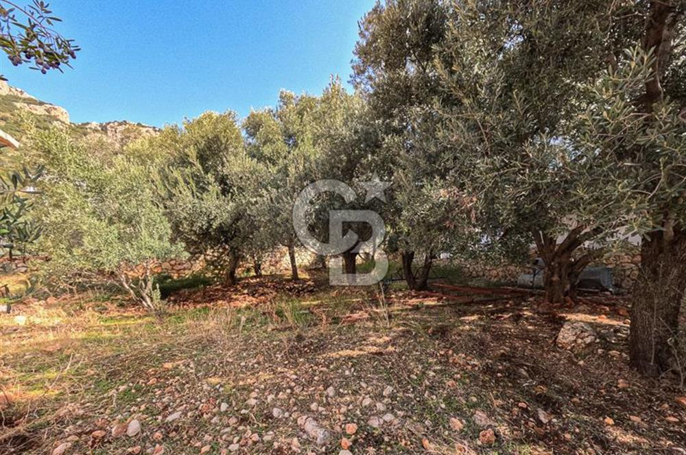 CB ARDENDEN ANTALYA KAŞ BEZİRGANDA 767 M2 SATILIK TARLA