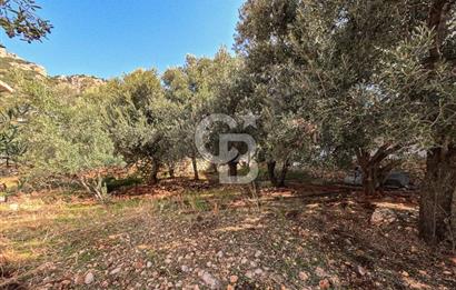 CB ARDENDEN ANTALYA KAŞ BEZİRGANDA 767 M2 SATILIK TARLA