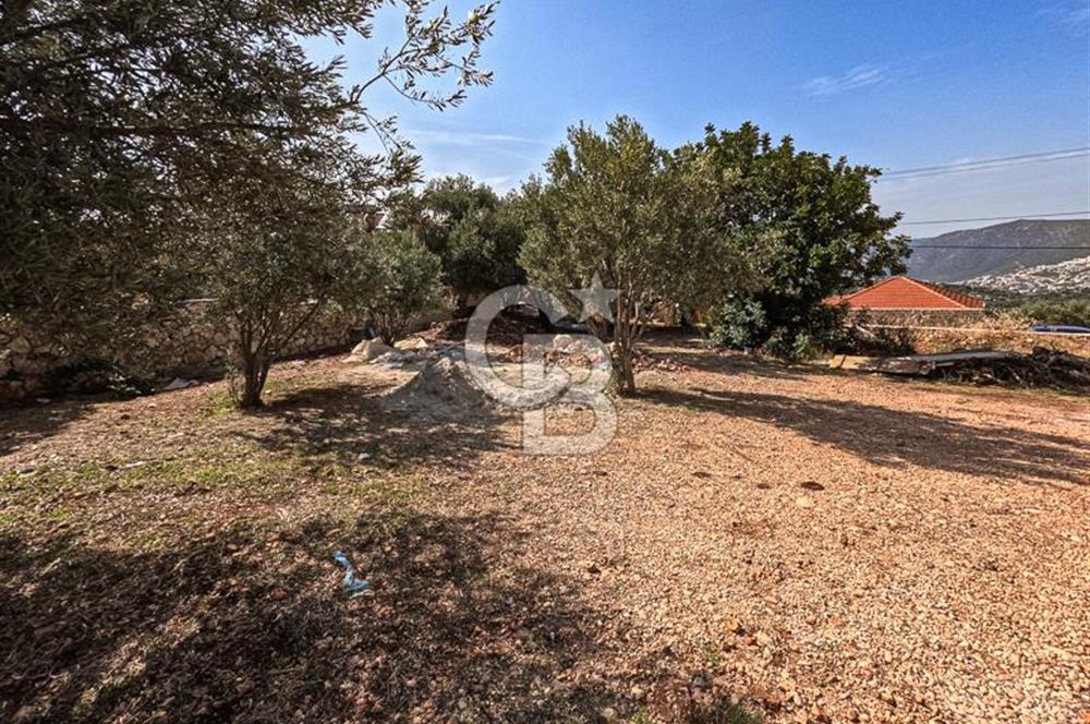 CB ARDENDEN ANTALYA KAŞ BEZİRGANDA 767 M2 SATILIK TARLA