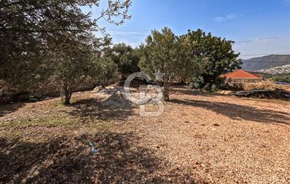 CB ARDENDEN ANTALYA KAŞ BEZİRGANDA 767 M2 SATILIK TARLA