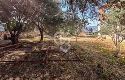CB ARDENDEN ANTALYA KAŞ BEZİRGANDA 767 M2 SATILIK TARLA